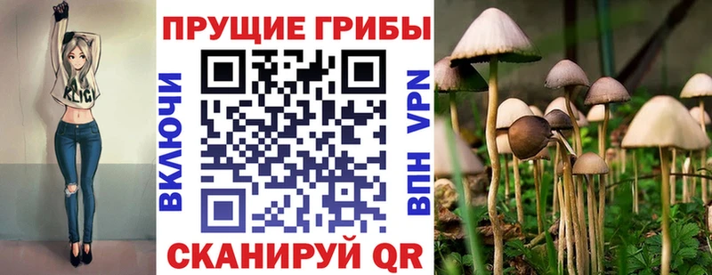 нарко площадка формула  Балтийск  Псилоцибиновые грибы ЛСД 